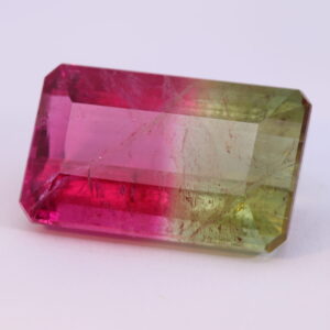 Tourmaline bi-colore.17,83 cts