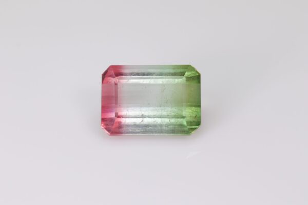 Tourmaline Bicolore 14,94 cts face