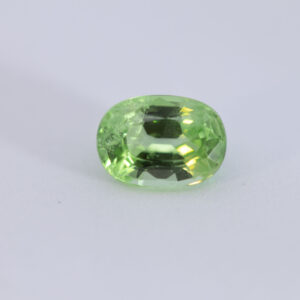 Grenat 1,06 ct